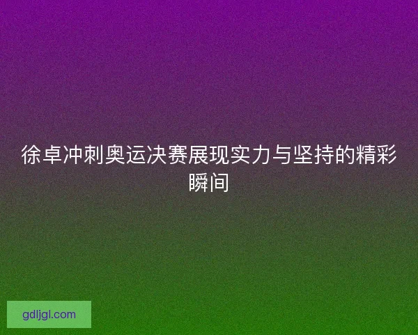 徐卓冲刺奥运决赛展现实力与坚持的精彩瞬间